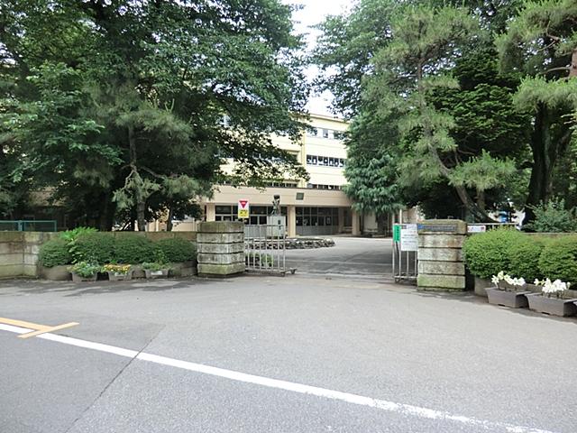 Primary school. 240m to Kashiwa TatsuKashiwa third elementary school