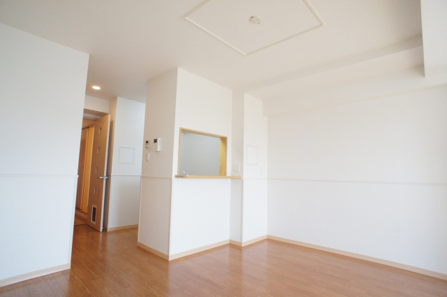 Living and room. Bright LDK