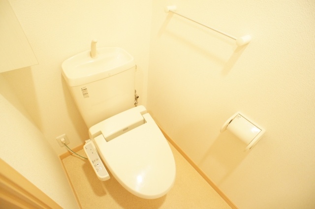 Toilet. Bright toilet