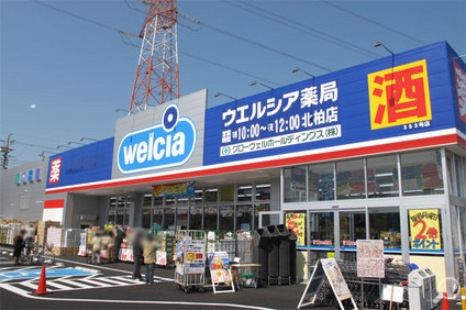 Dorakkusutoa. Werushia Kitakashiwa shop 240m until (drugstore)