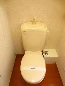 Toilet. Toilet