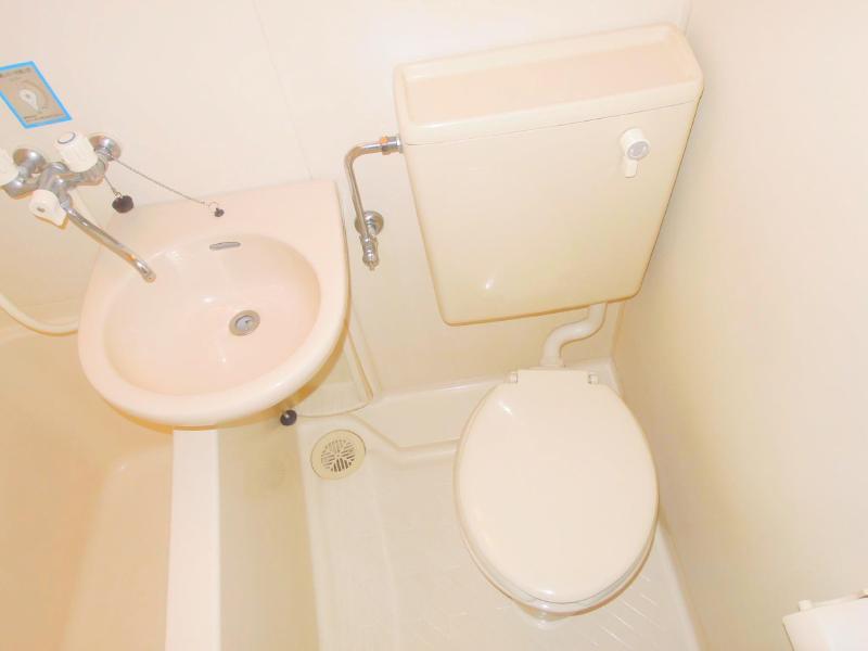 Toilet. Clean toilet