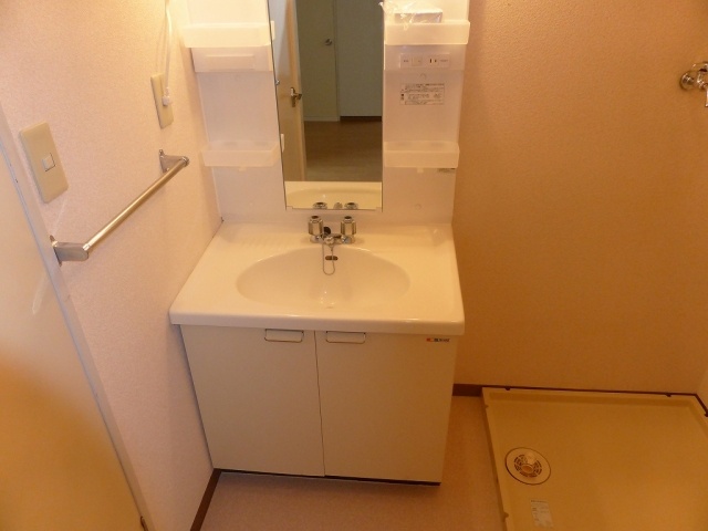 Washroom. Indoor Laundry Storage