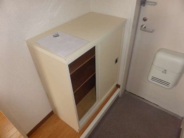 Entrance. Shoe box