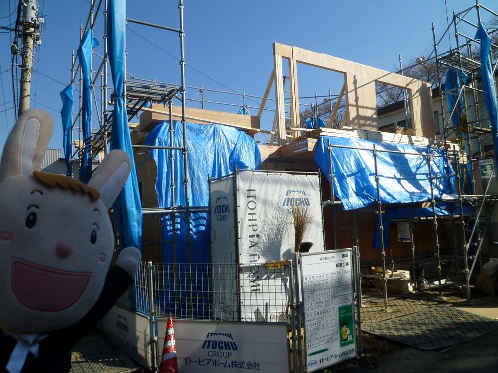 Local appearance photo. Local (November 26, 2013) Shooting