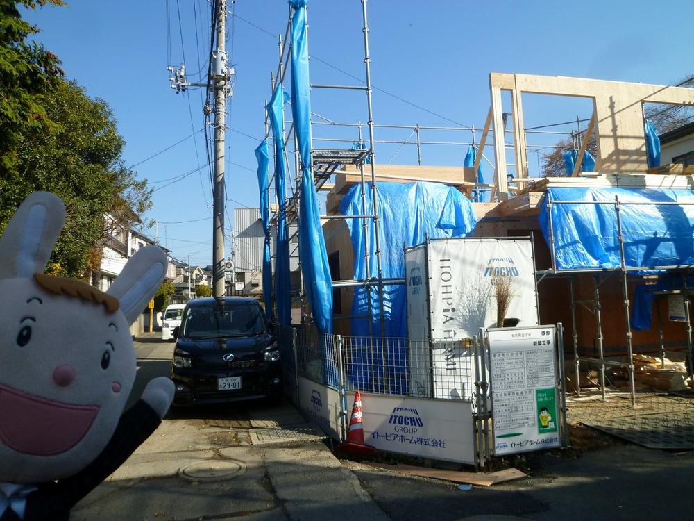 Local photos, including front road. Local (November 26, 2013) Shooting