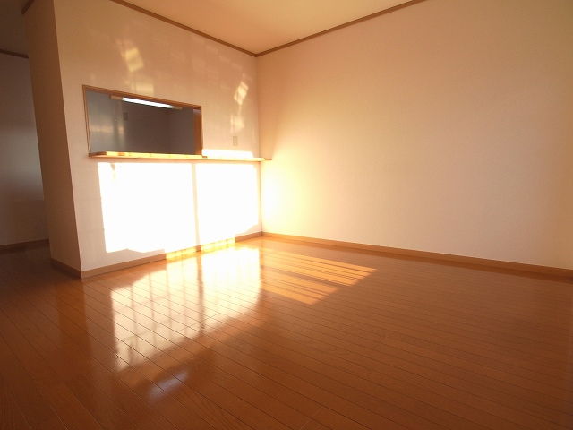Living and room. Spacious living room. Face-to-face kitchen.
