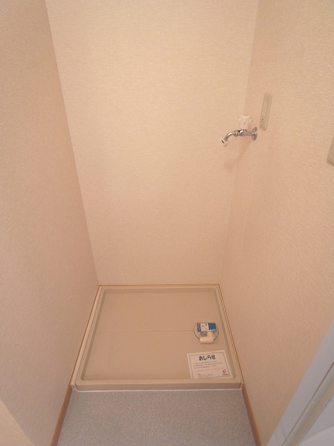 Washroom. There is storage room washing machine