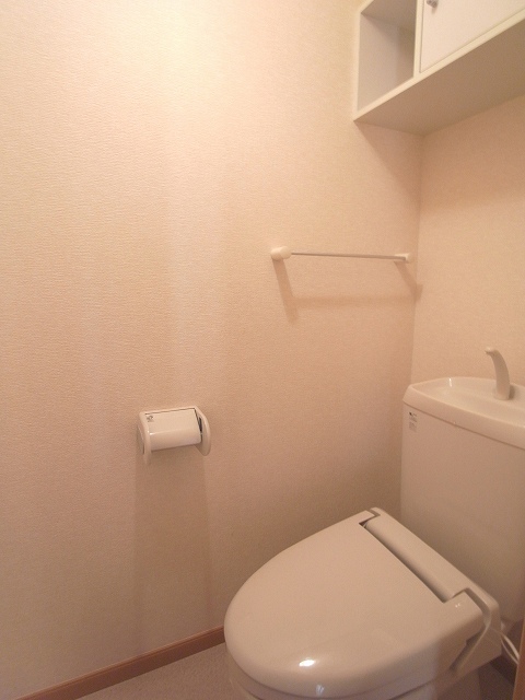 Toilet. A heated toilet seat. There shelf.