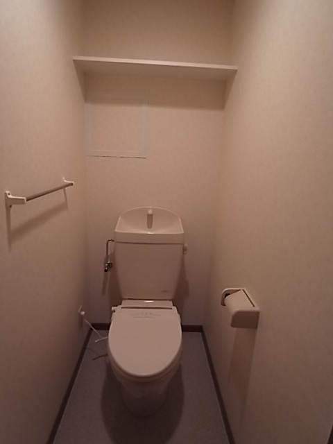 Toilet. Toilet with a shelf.