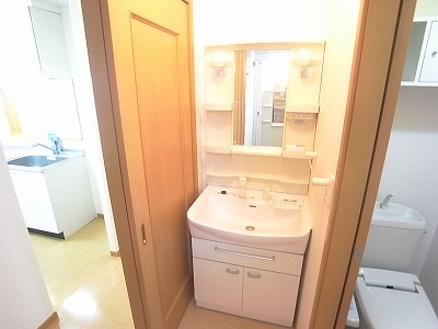 Washroom. Shampoo dresser