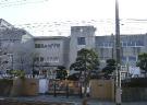 Primary school. Kashiwashiritsu pine needles first elementary school (elementary school) up to 161m