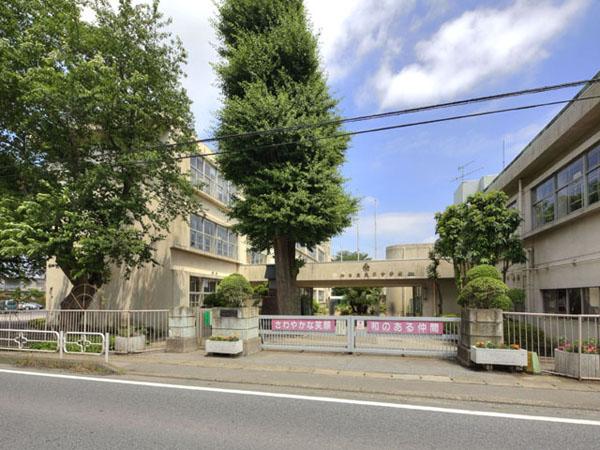 Junior high school. Kashiwashiritsu Kazehaya until junior high school 4600m