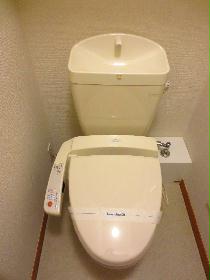 Toilet. Hot-water washing machine