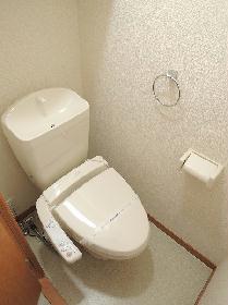 Toilet. Warm water washing toilet seat