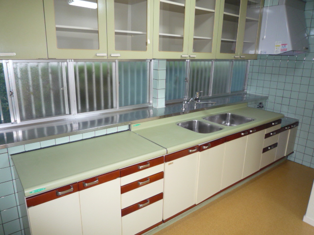 Kitchen. Gas stove corresponding Kitchen