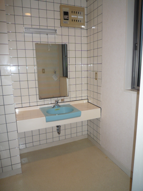 Washroom. Wash basin