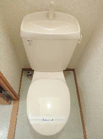 Toilet. Separate toilet