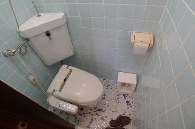 Toilet. With Washlet