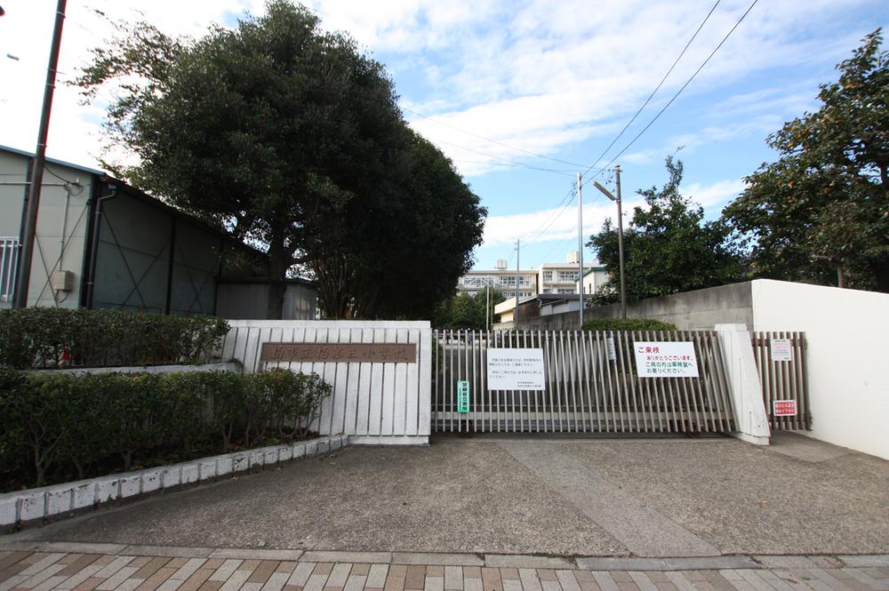 Primary school. Kashiwa TatsuKashiwa 794m until the fifth elementary school