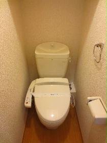 Toilet. Hot-water washing machine