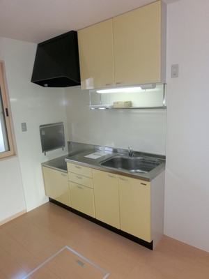Kitchen. Gas stove can be installed There is under-floor storage