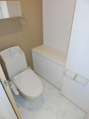 Toilet. Washlet toilet