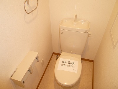 Toilet. Same apartment toilet.