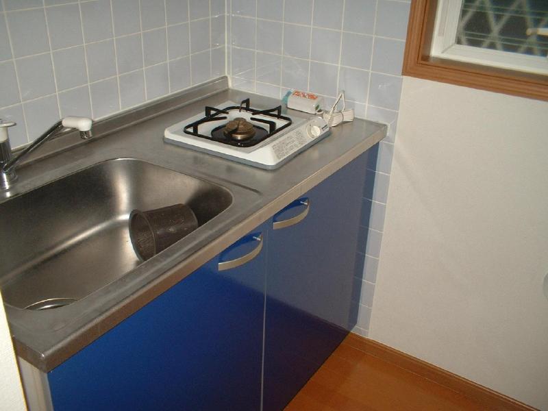Kitchen. System kitchen. Sink is also a shiny