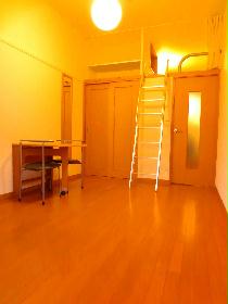 Living and room. Loft type