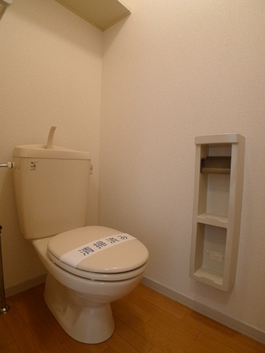 Toilet. Toilet and toilet storage