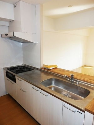 Kitchen. Popular counter kitchen