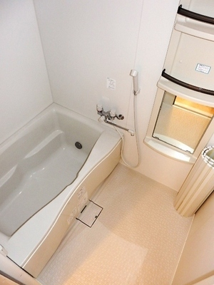 Bath. Bus of the room
