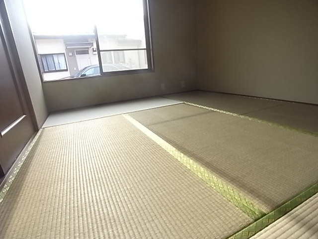 Other room space. Oasis of Japanese-style room.