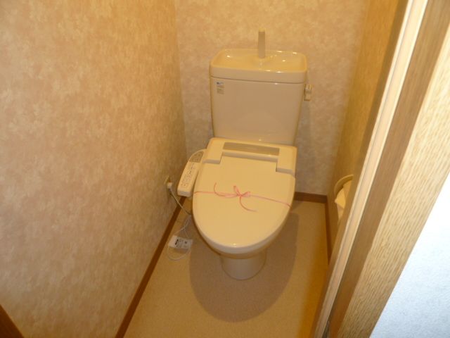 Toilet. Toilet