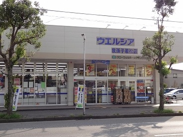 Dorakkusutoa. Uerushia Abiko Wakamatsu shop 2100m until (drugstore)