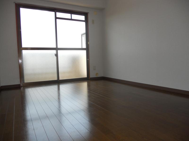 Living and room. Clean flooring