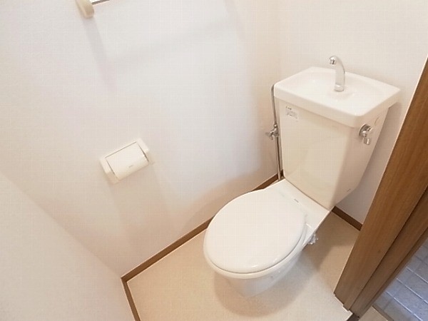 Toilet. Isomorphic Property Photos