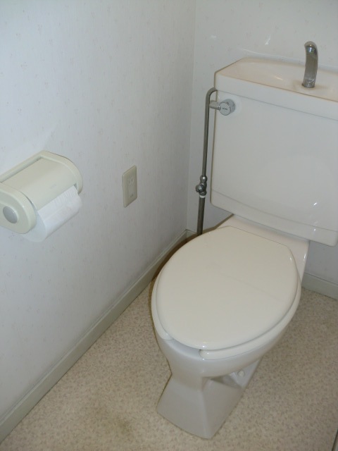 Toilet. Also attached bidet in your favorite