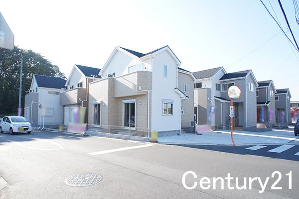 Local photos, including front road