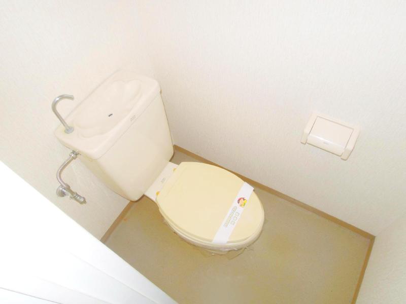 Toilet. Clean toilet