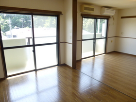 Living and room. Spacious use LDK.