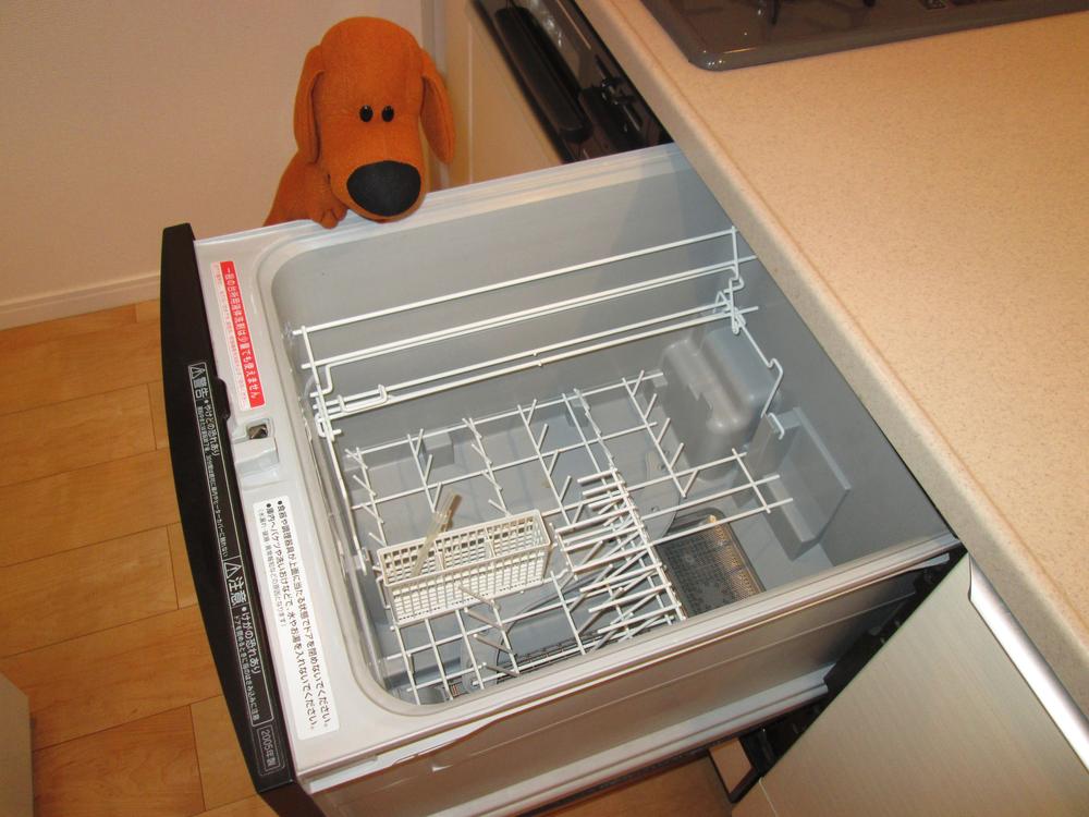Other. Dishwasher is happy!