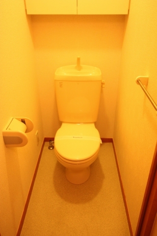 Toilet. Bidet with photos is the same type-specific properties