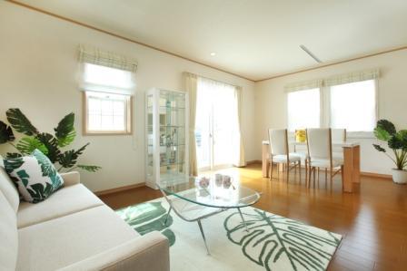 Same specifications photos (living). Introspection Same specifications Photos