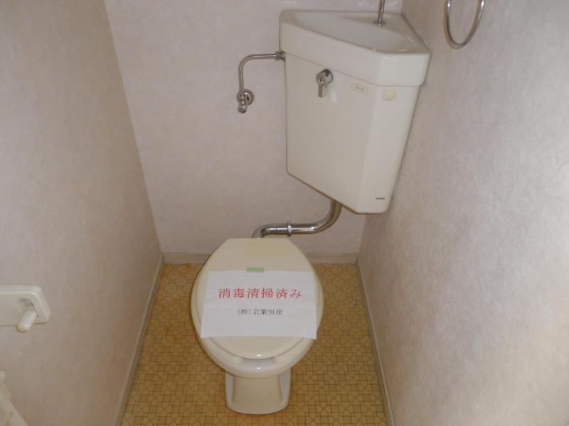 Toilet. Spacious spacious restroom