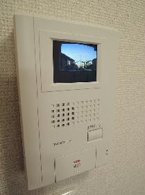 Other. Monitor with intercom