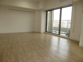 Living and room. Spacious Western-style 13 Pledge