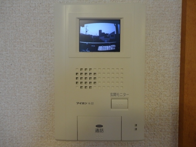 Security. TV monitor phone