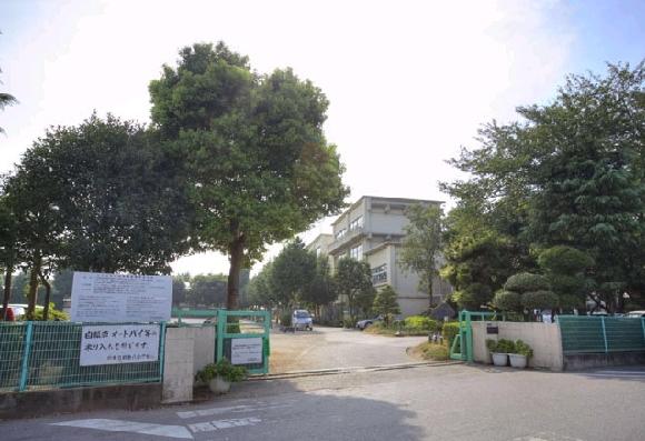 Primary school. Kashiwa TatsuKashiwa 430m until the eighth elementary school